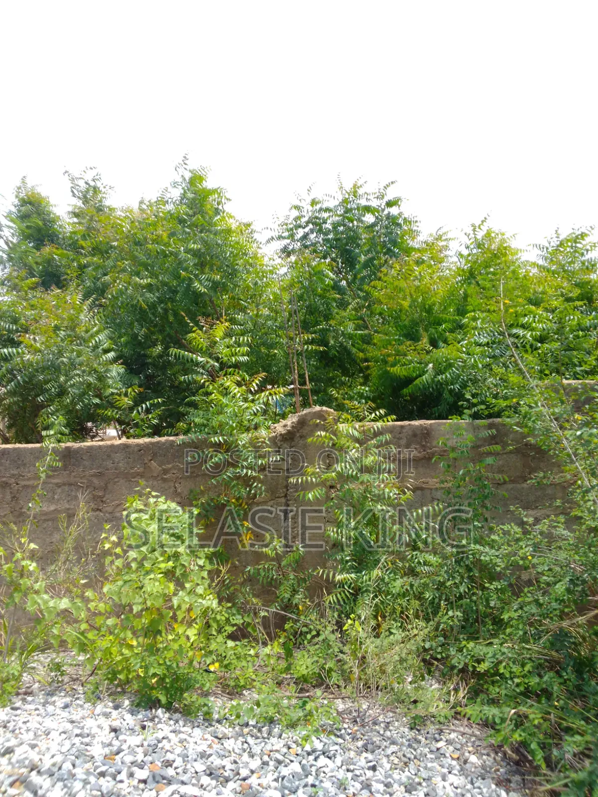 Plots of Land for Sale at Bawaleshie in Bawaleshie