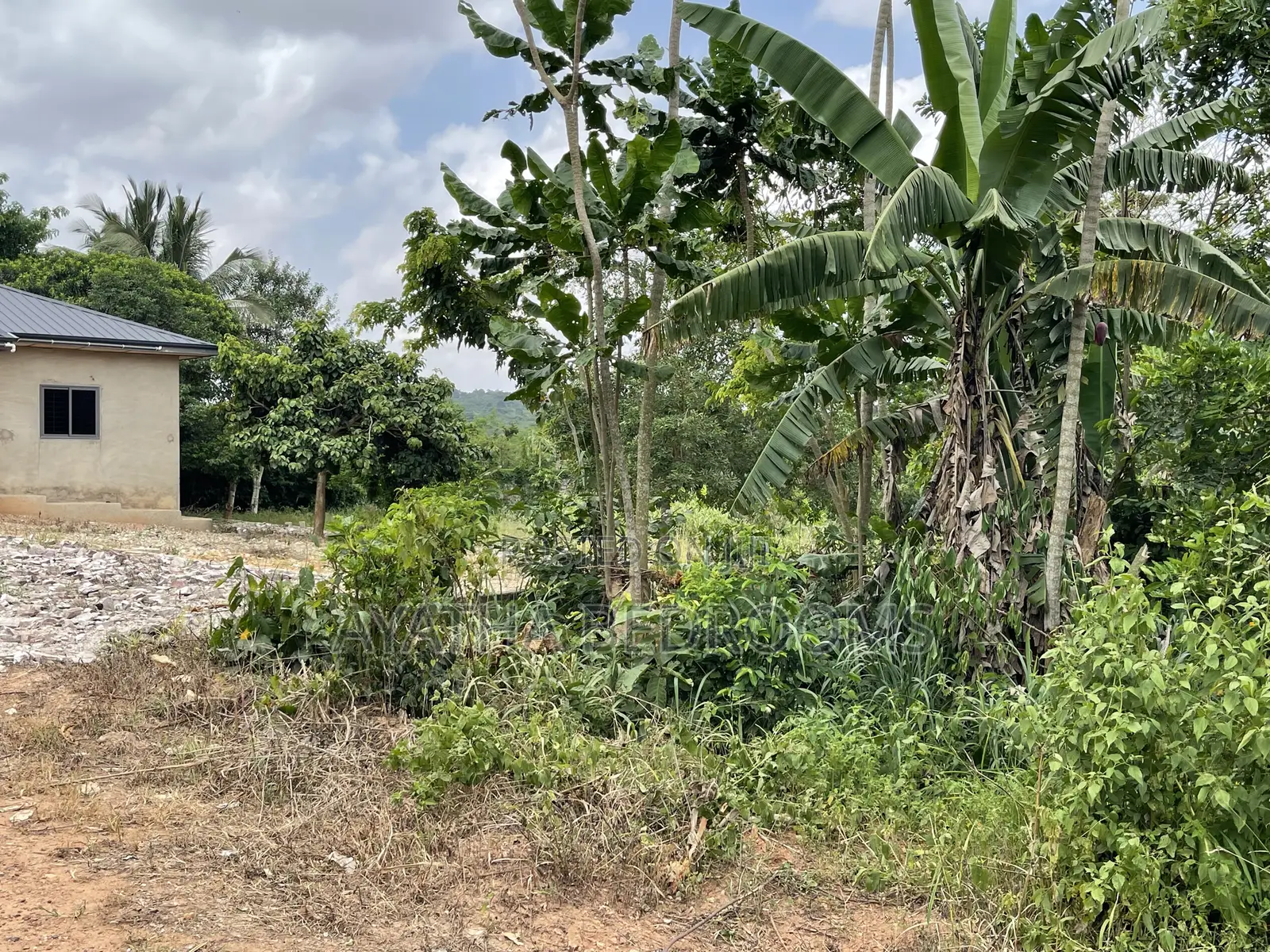 Land for Sale in Aburi