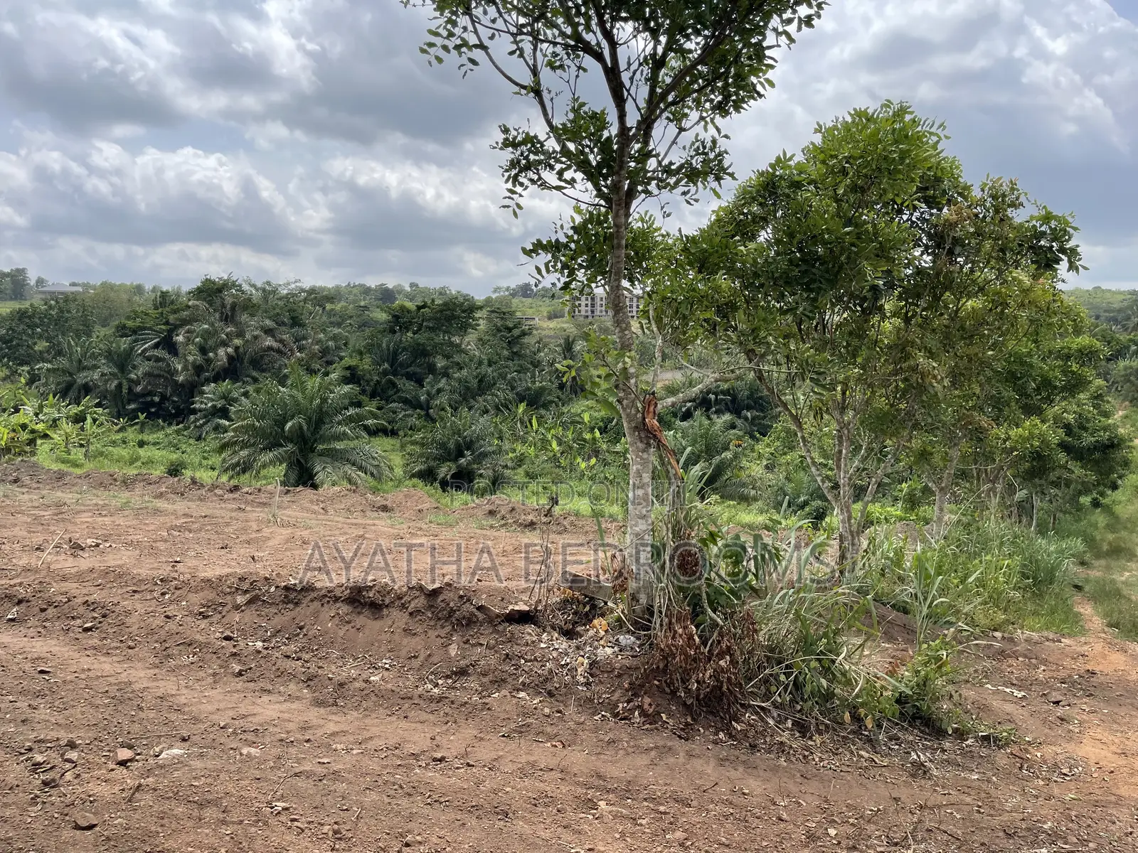 Land for Sale in Aburi