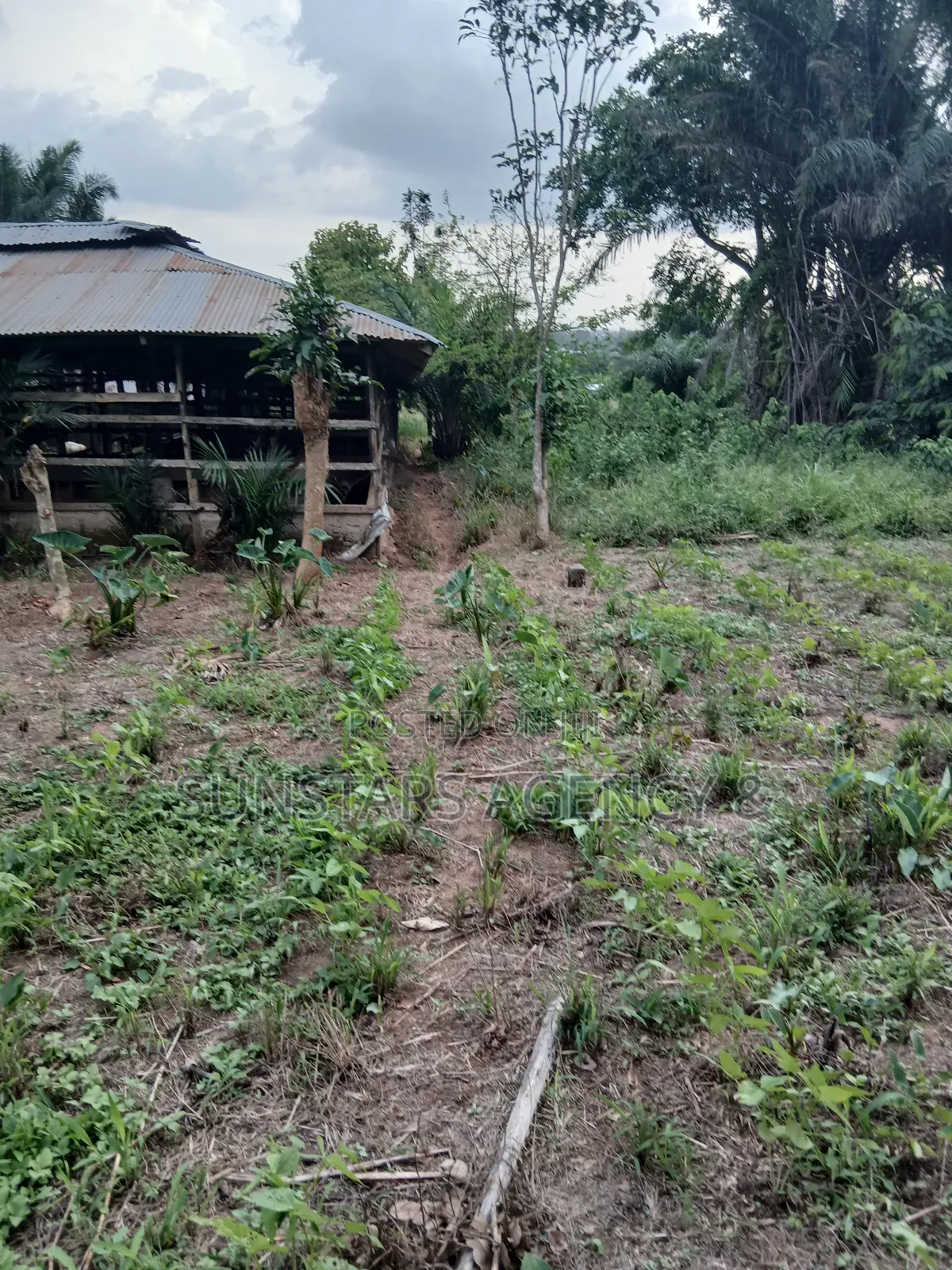 Land Available for Sale in Hohoe in Hohoe Municipal