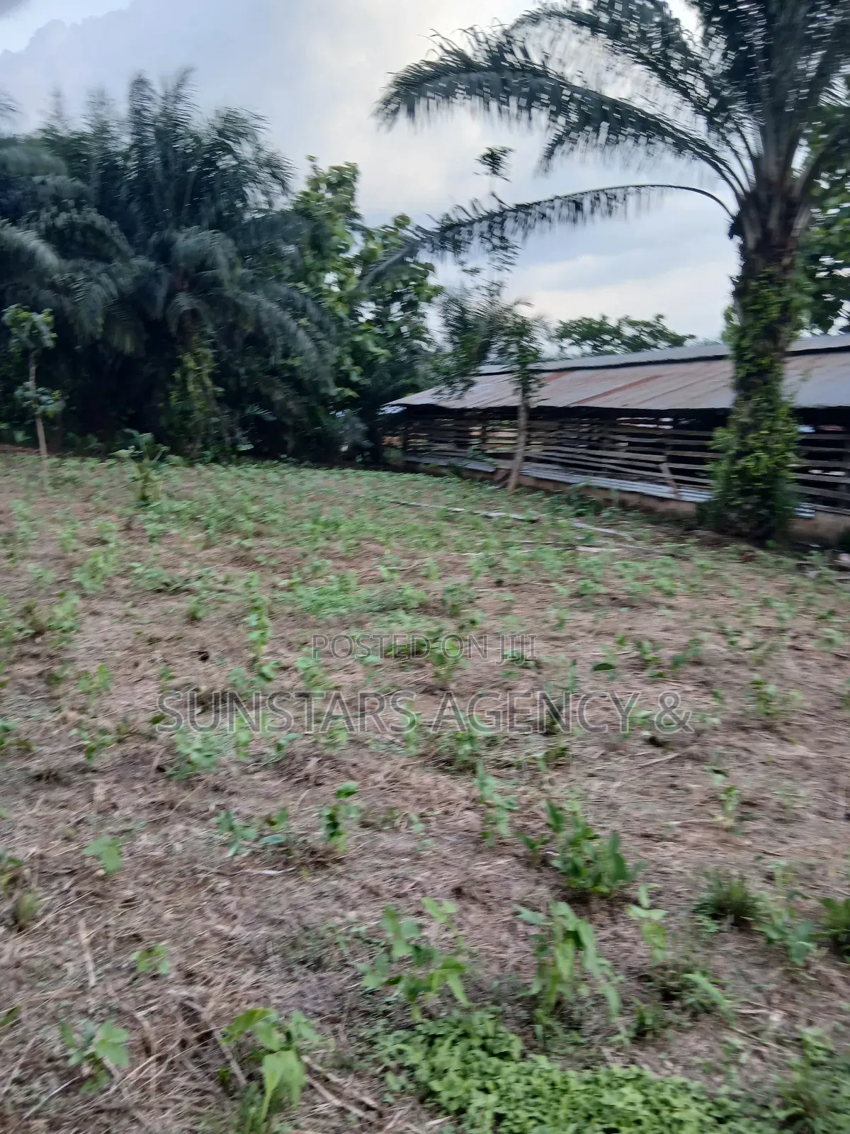 Land Available for Sale in Hohoe in Hohoe Municipal