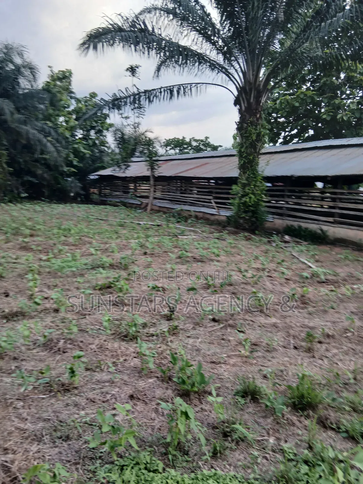 Land Available for Sale in Hohoe in Hohoe Municipal