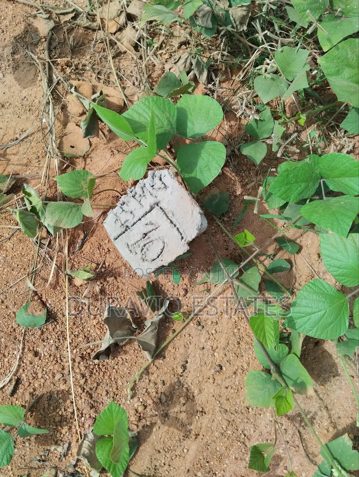 Premier Land in Atwima Takyiman in Kumasi Metropolitan