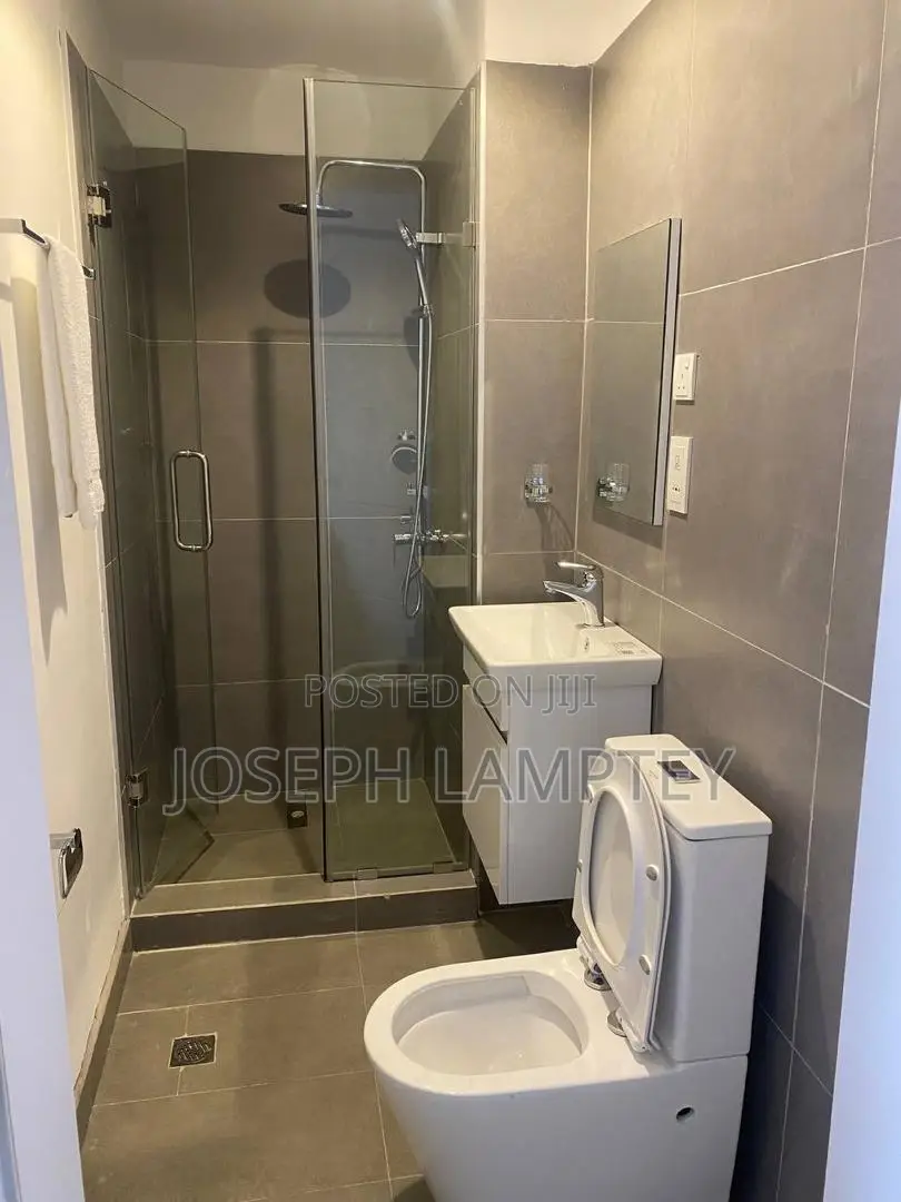 Furnished 1bdrm Apartment in Joseph Lamptey, Airport Residential Area in Airport Residential Area