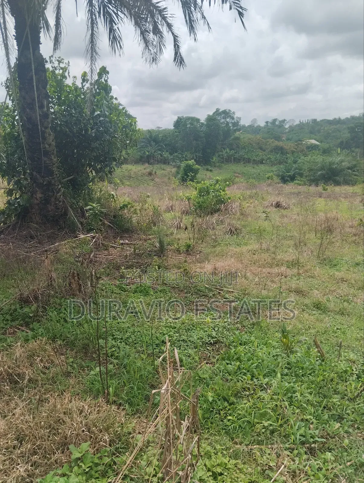Full Plot in Duravio Estates in Kumasi Metropolitan