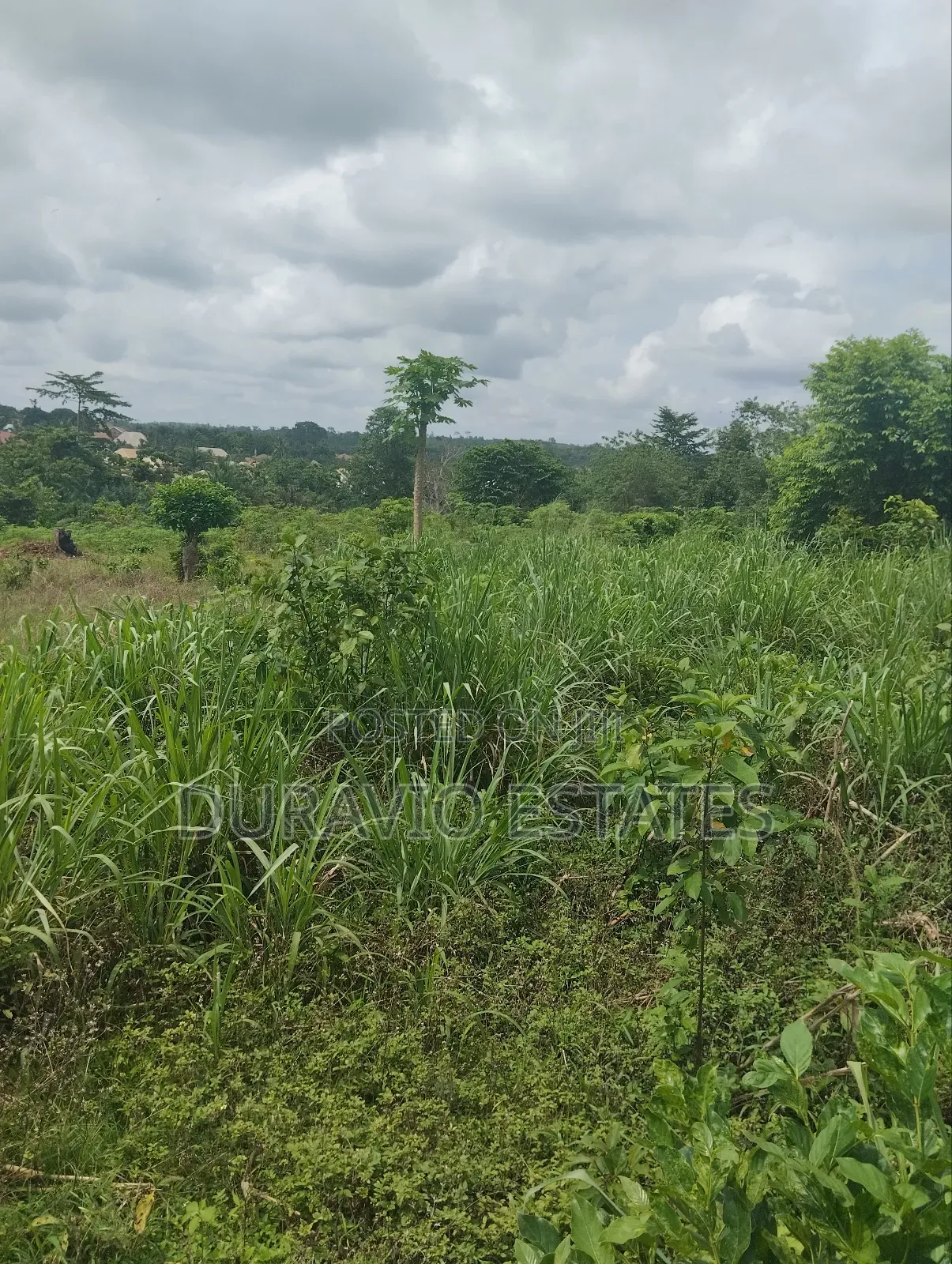 Full Plot in Duravio Estates in Kumasi Metropolitan