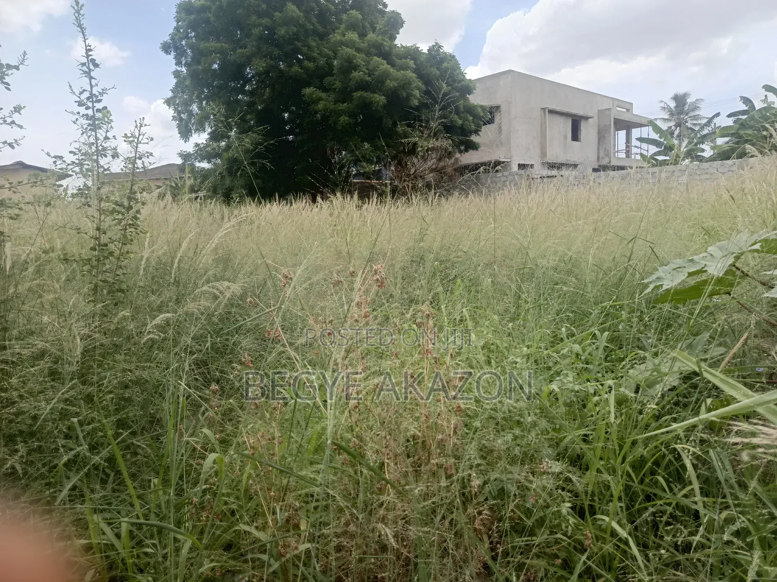125/100 Plot for Sale at Adenta Housing Down in Housing Down