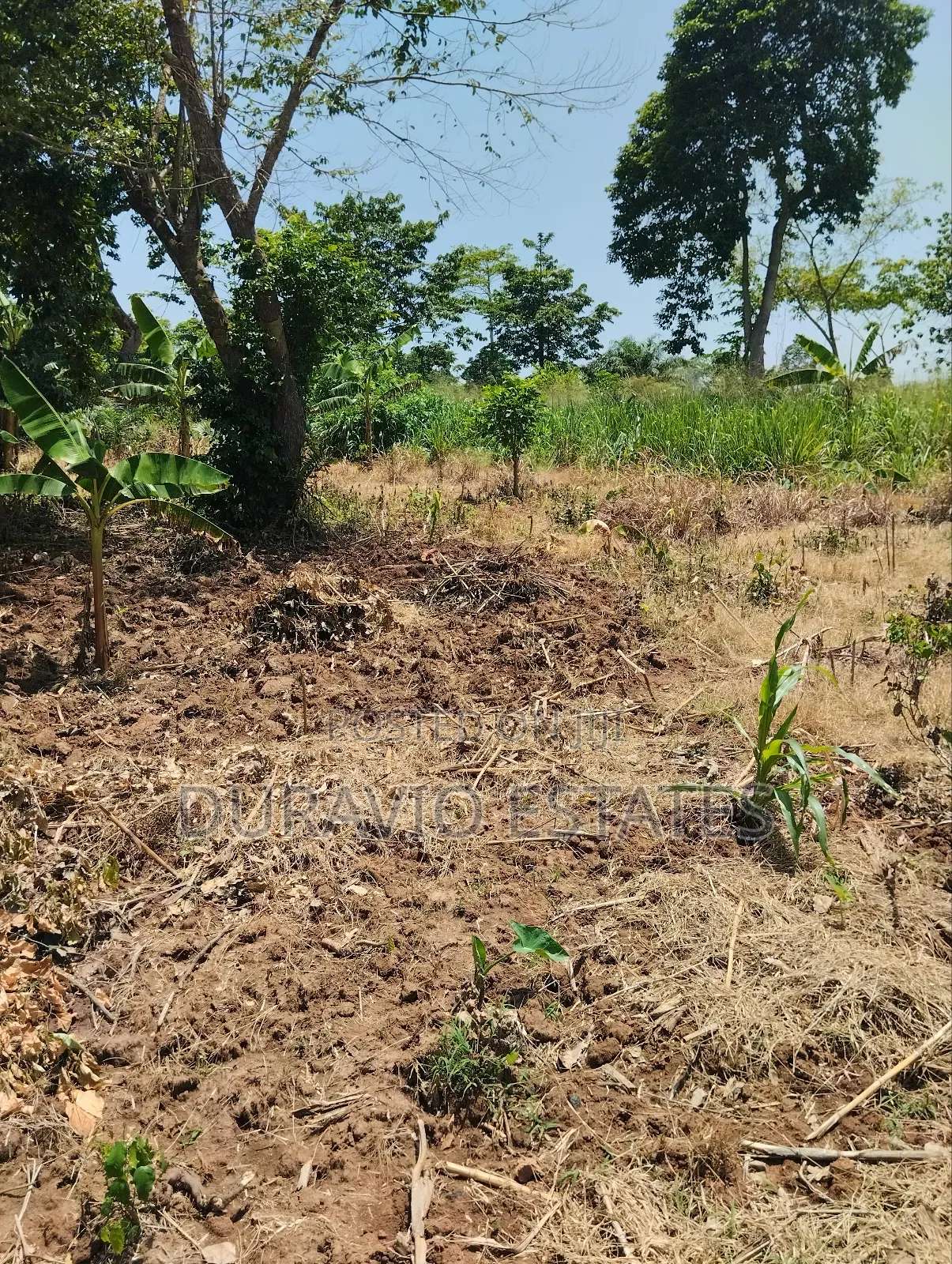 Full Plot in Atwima Foase in Kumasi Metropolitan