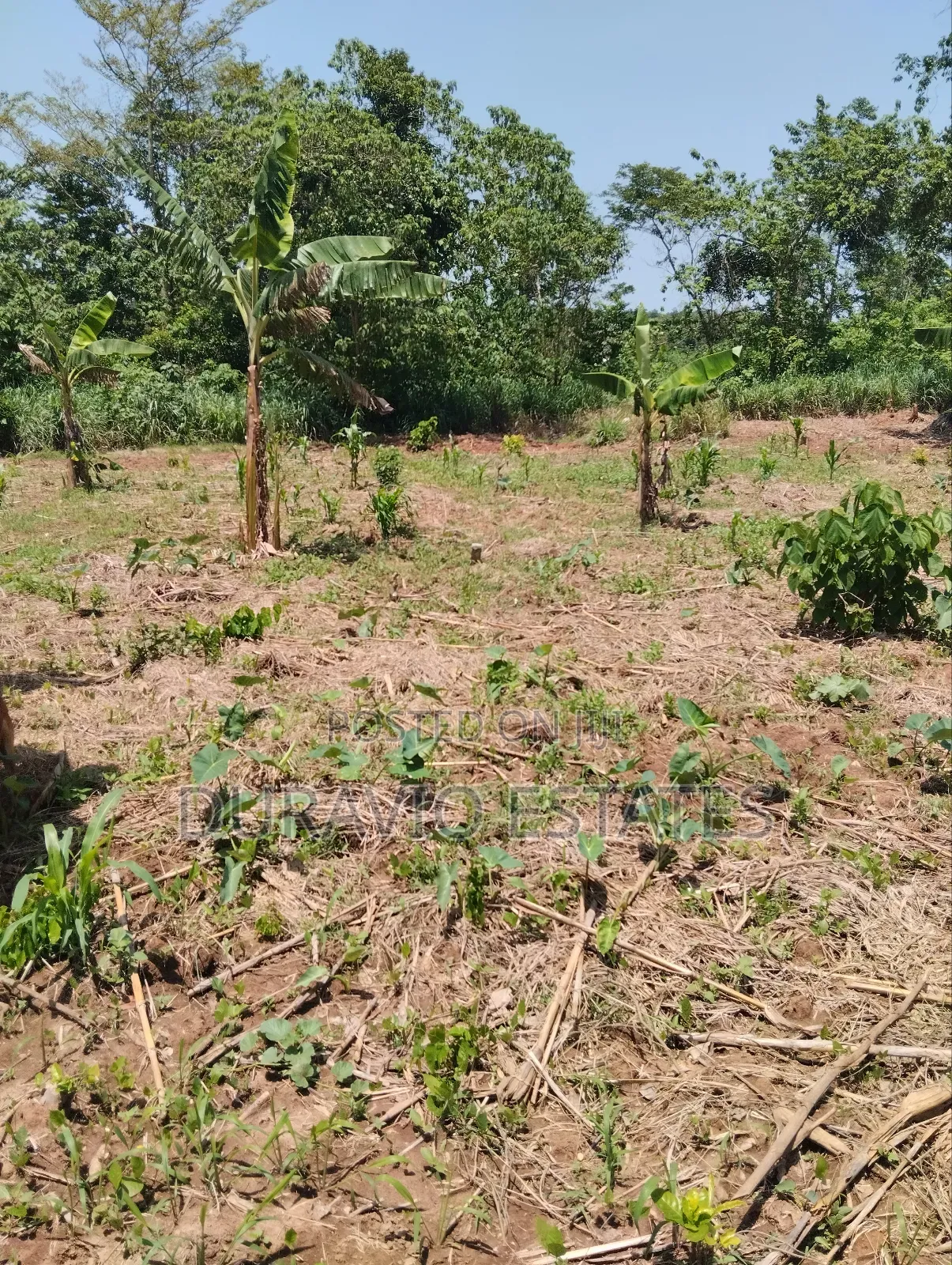 Full Plot in Atwima Foase in Kumasi Metropolitan