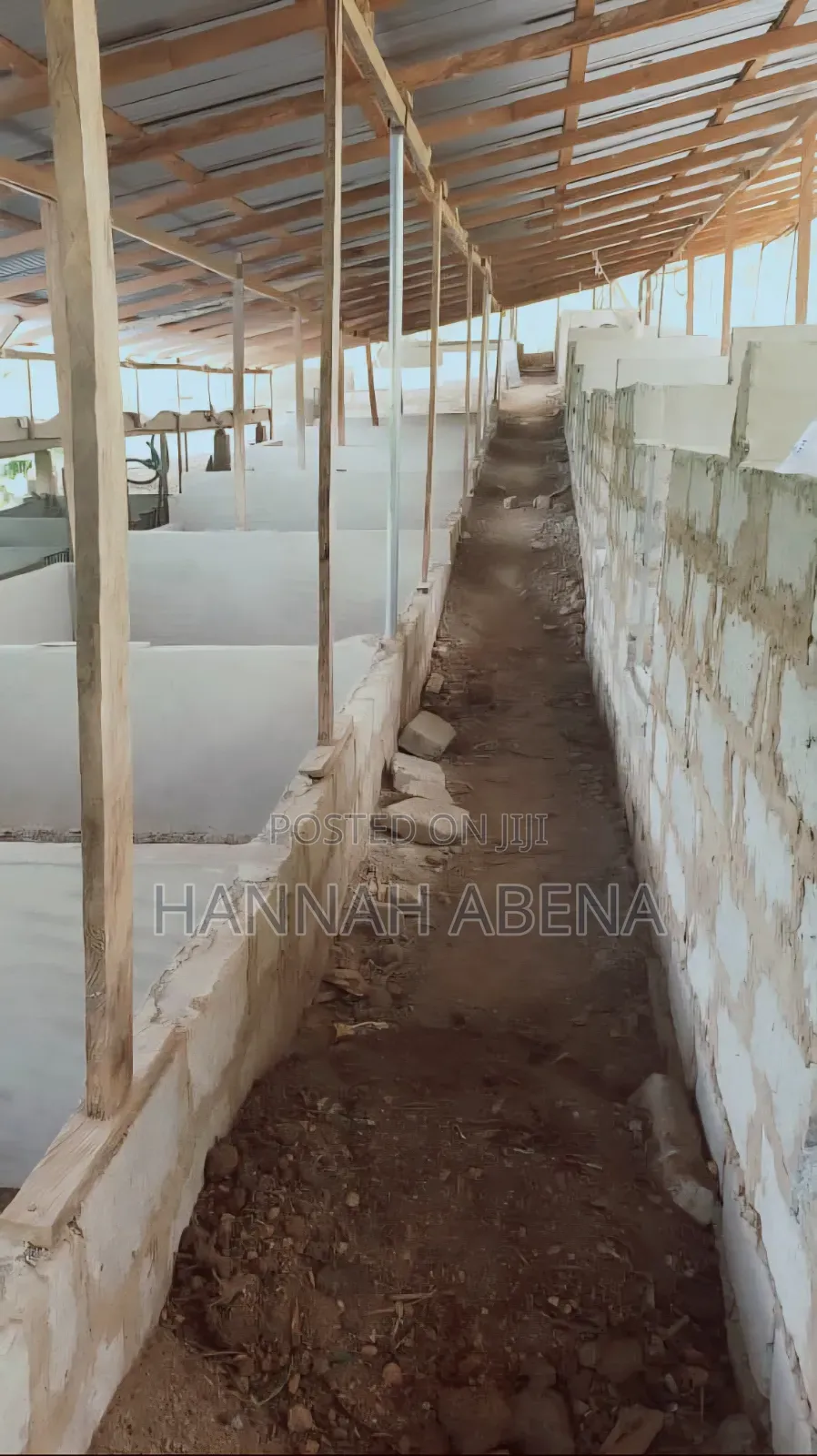 Farm Land for Pigs in Amansie Central