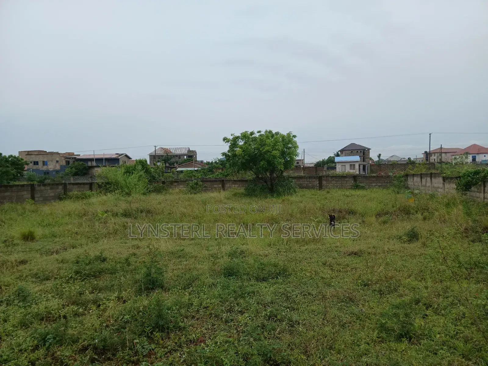 80x80ft Land Off Amrahia-Katamanso Road in Amrahia