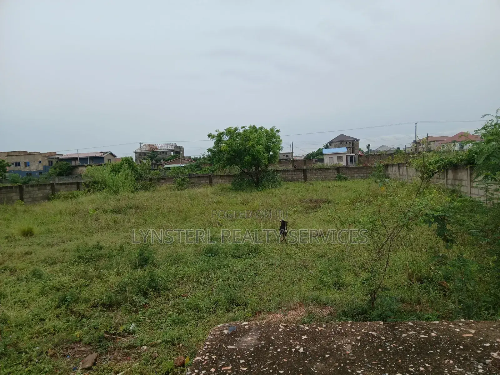 80x80ft Land Off Amrahia-Katamanso Road in Amrahia