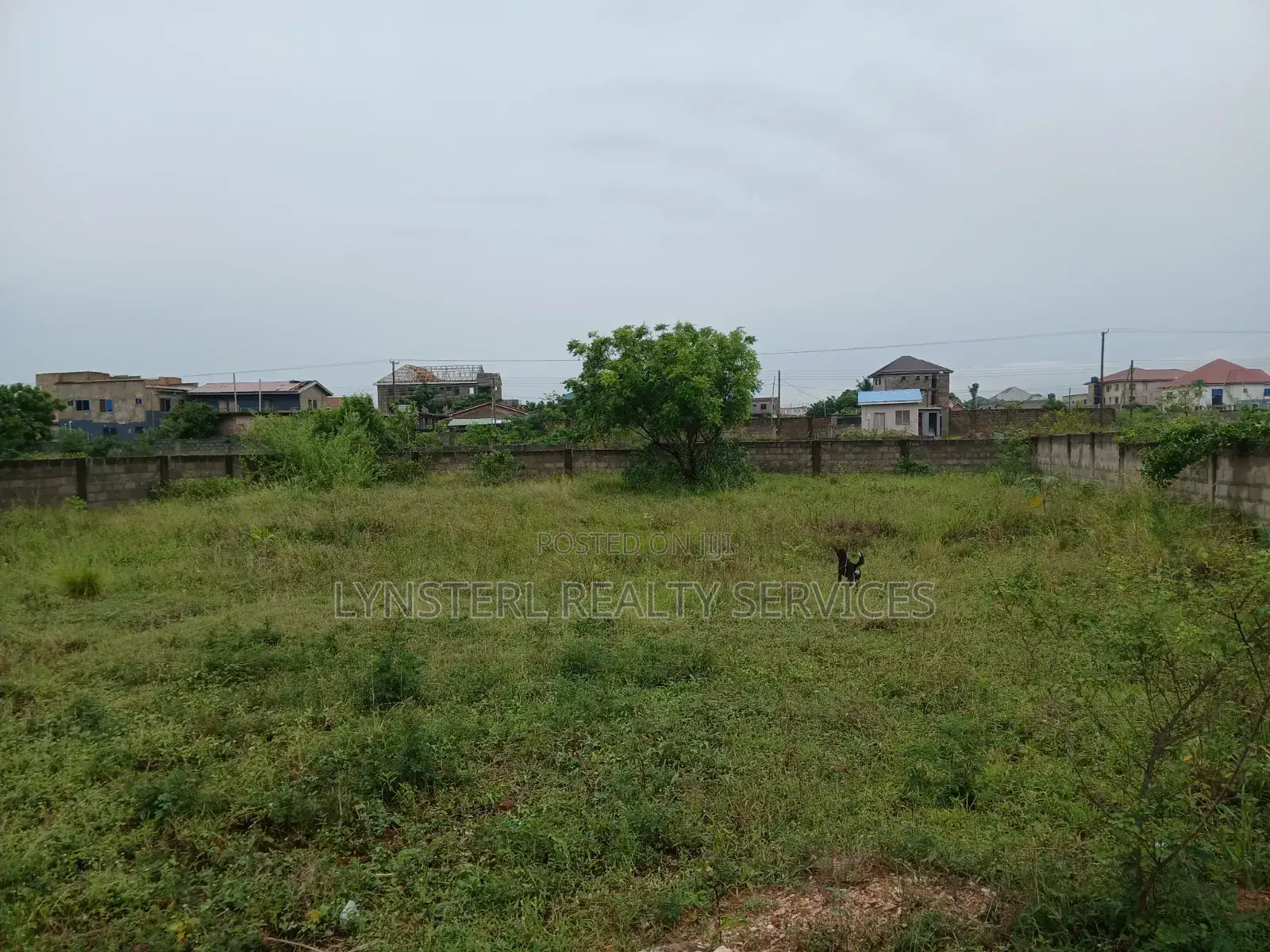 80x80ft Land Off Amrahia-Katamanso Road in Amrahia