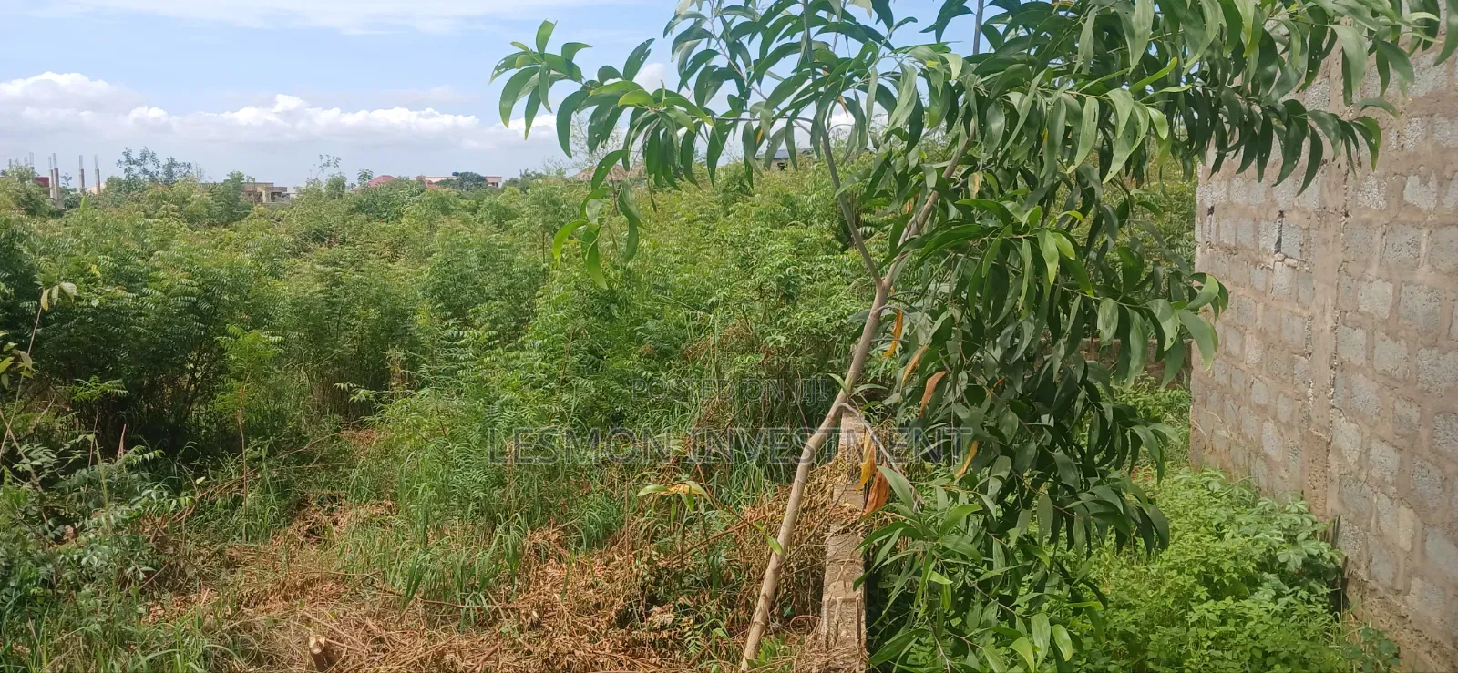 1 Acre Land at Valley View University Oyibi for Sale in Valley View Area