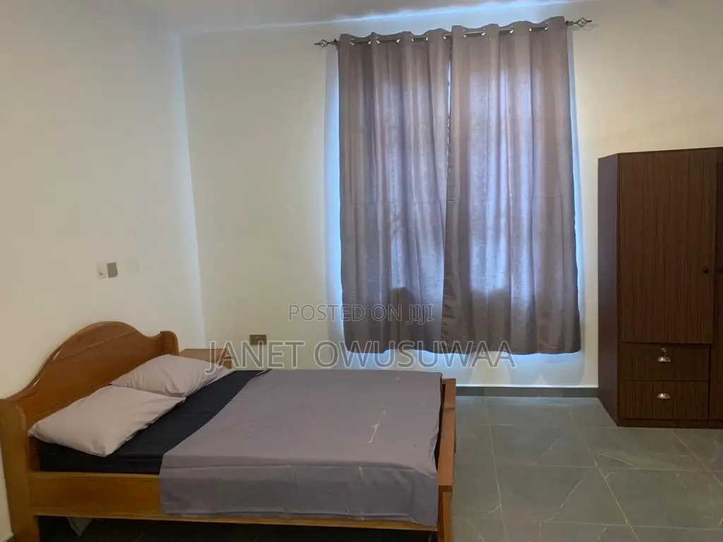 Furnished 2bdrm Apartment in Ashomang Estate for rent in Ashomang Estate