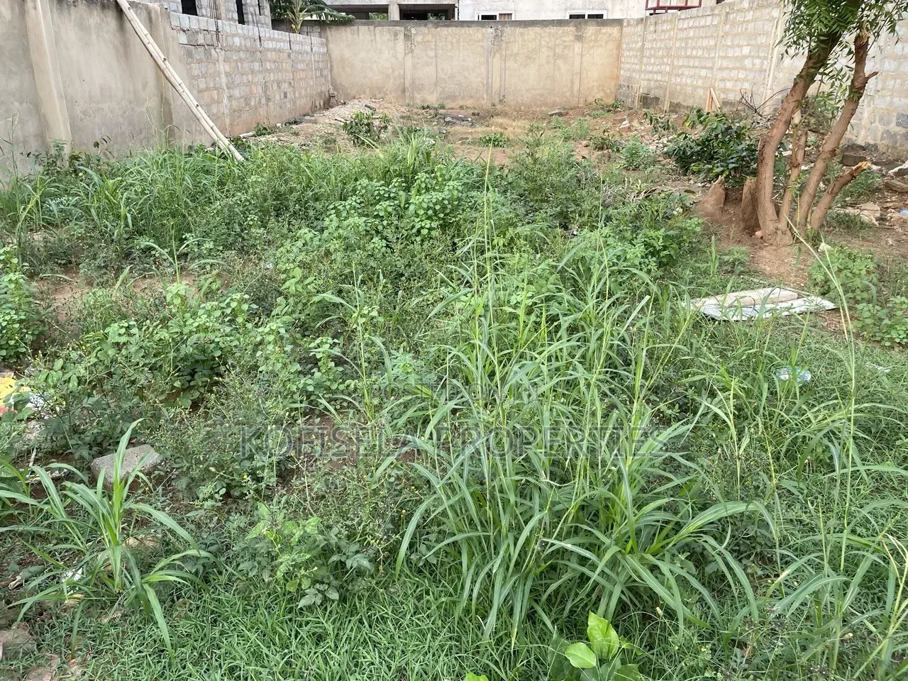 Half Plot of Land in Ayi Mensah in Oyarifa Mall Area