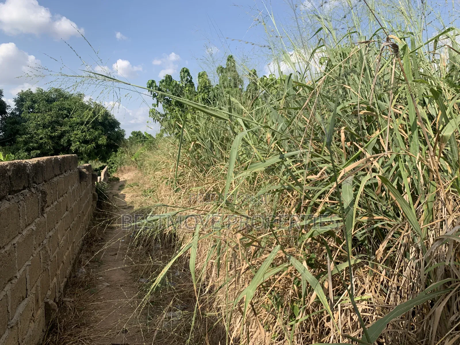 Half Plot for Sale at Buokrom Estate Truba in Kumasi Metropolitan