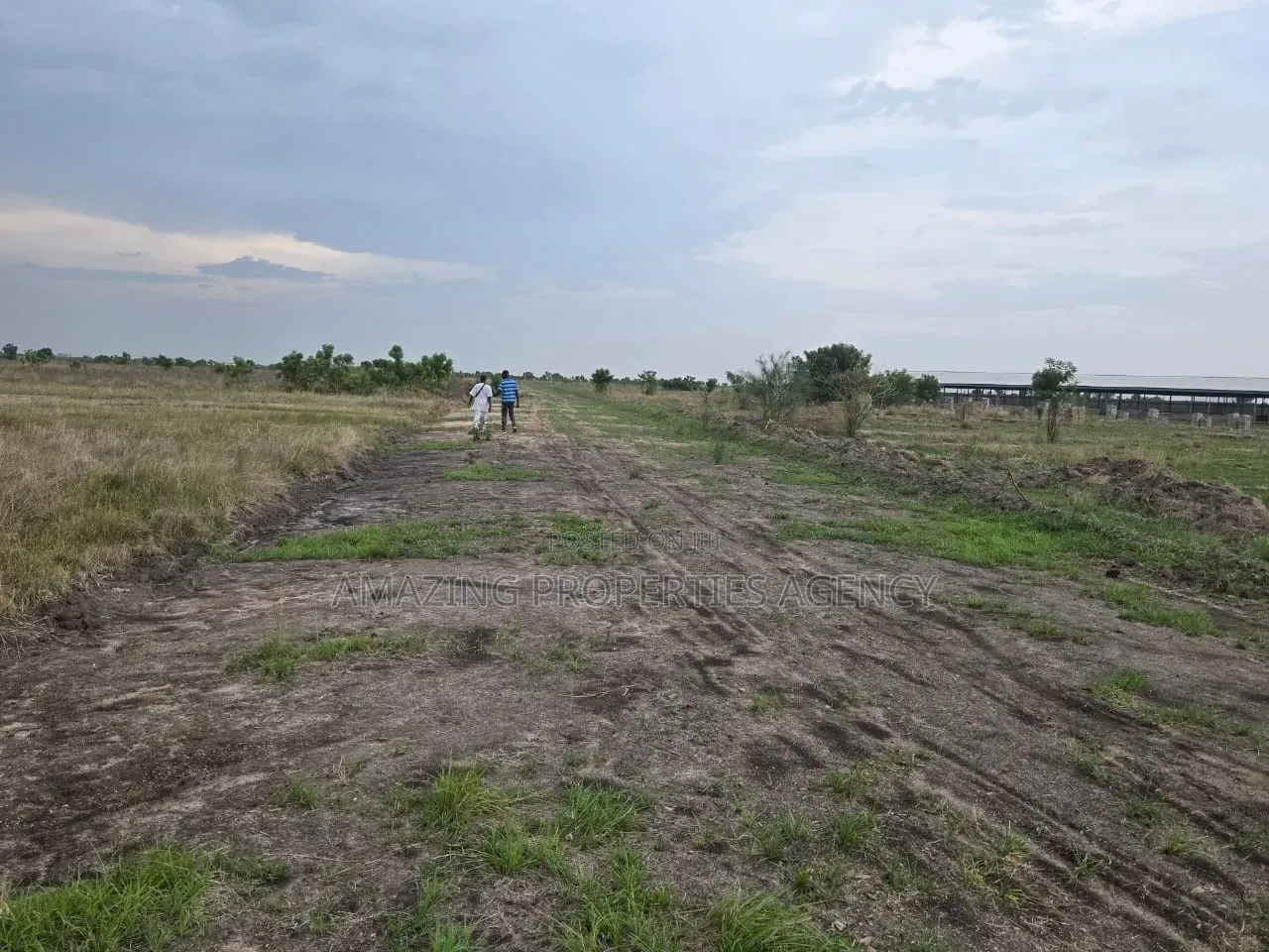 A. 4 Acres Land Is Forsale Location: Borteyman in Otano