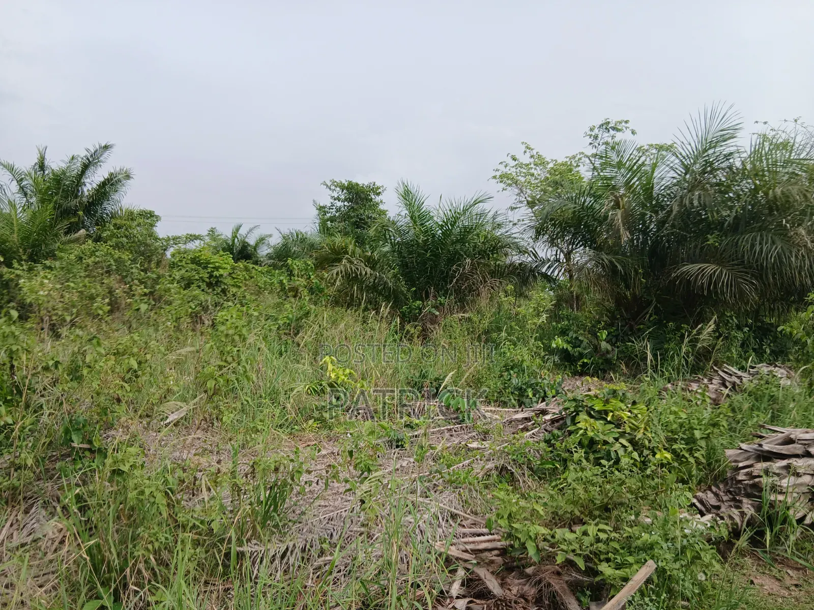 3 Plots of Land 4sale at Offinso Amoawi in Offinso Municipal