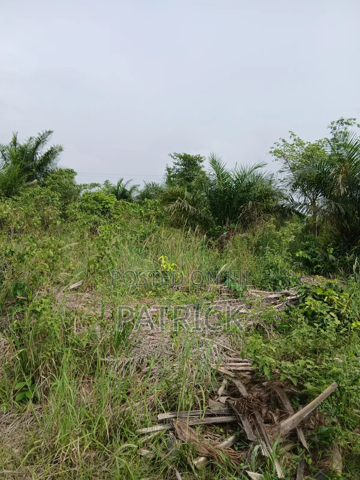 3 Plots of Land 4sale at Offinso Amoawi in Offinso Municipal