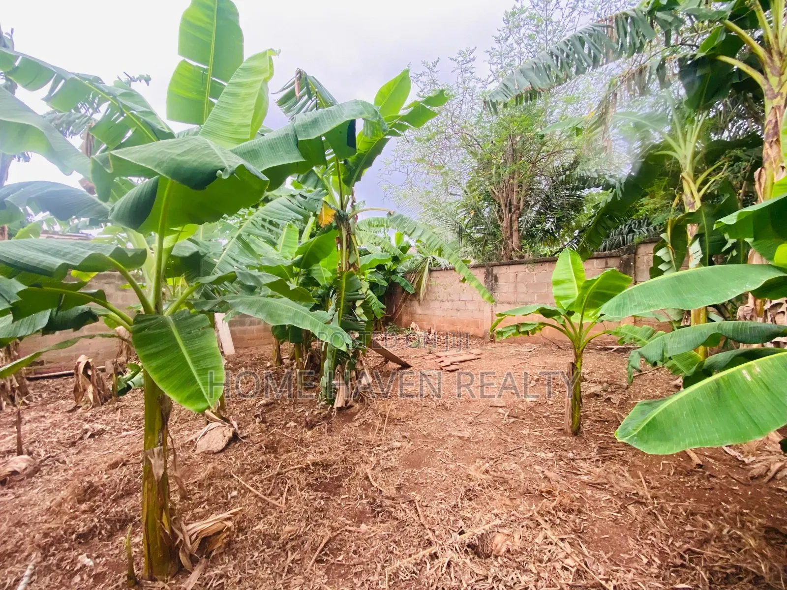 One Plot of Land for Sale at Westland in Christian Village