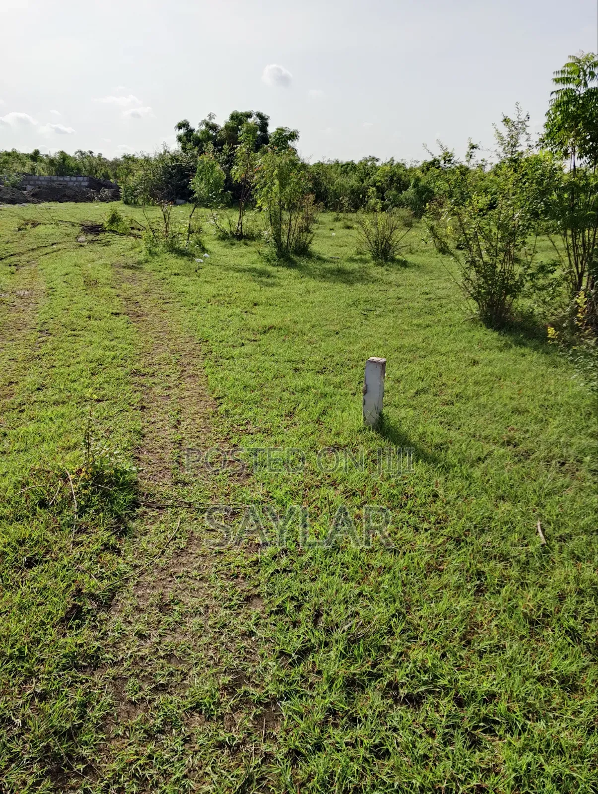 Over 400 Acres of Demarcated Lands Afienya Main Road Side for Sale in Tema Metropolitan