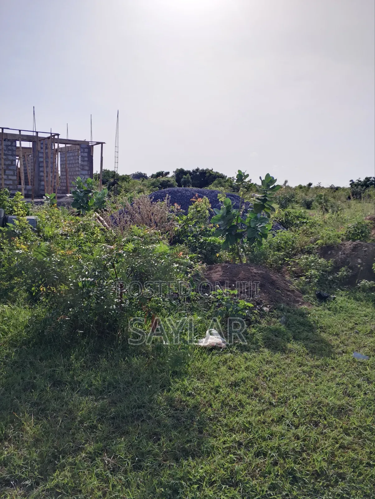 Over 400 Acres of Demarcated Lands Afienya Main Road Side for Sale in Tema Metropolitan