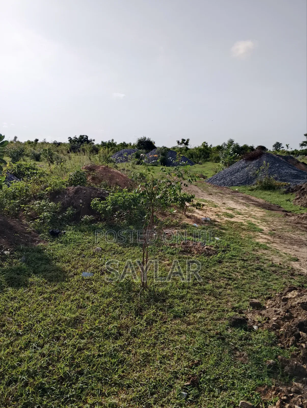 Over 400 Acres of Demarcated Lands Afienya Main Road Side for Sale in Tema Metropolitan
