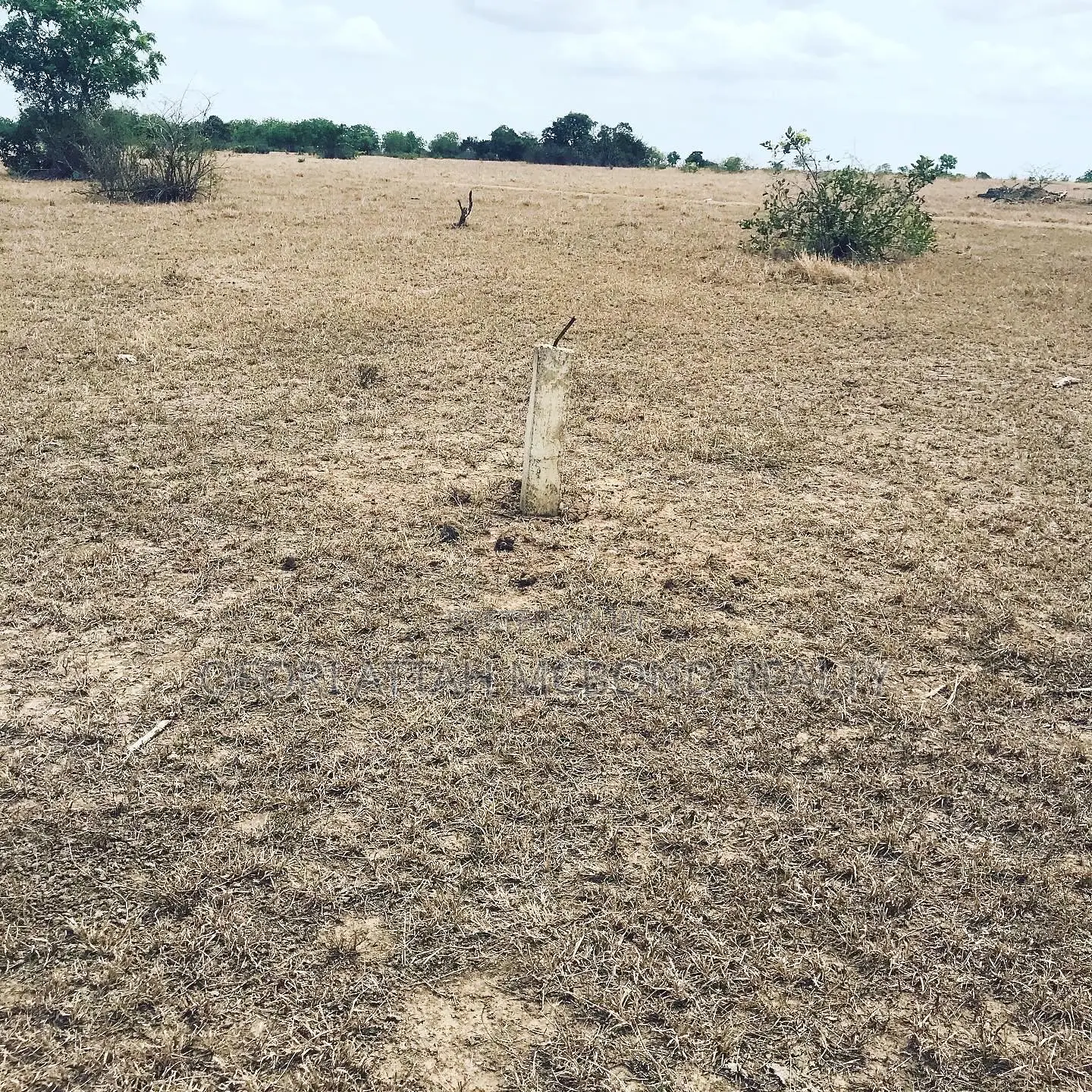 Afienya Lands for Sale ( Own Land With Peace of Mind ) in Tema Metropolitan