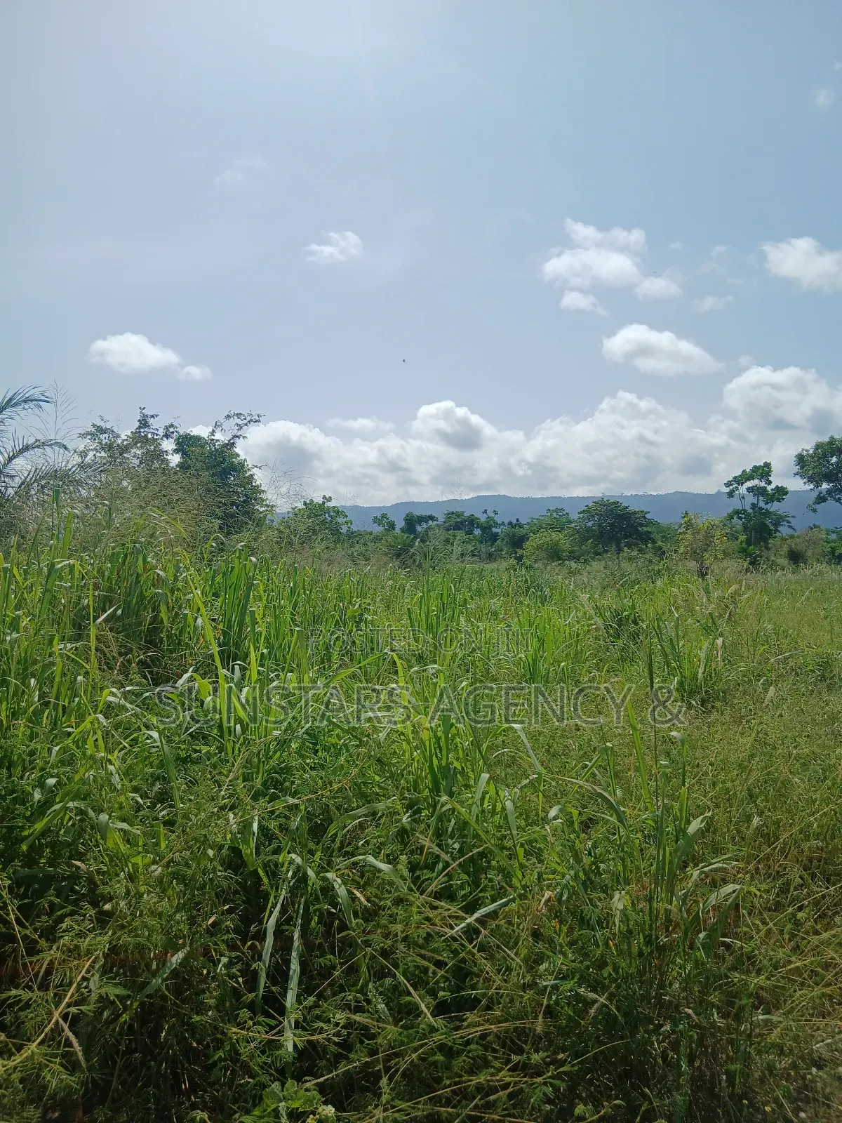 Acre Of Fertile Farm Land In Hohoe For Sale in Hohoe Municipal