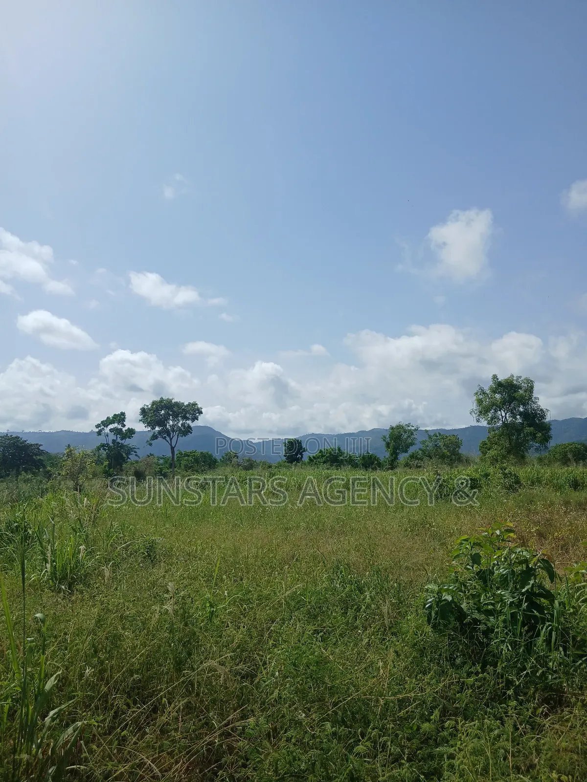 Acre Of Fertile Farm Land In Hohoe For Sale in Hohoe Municipal