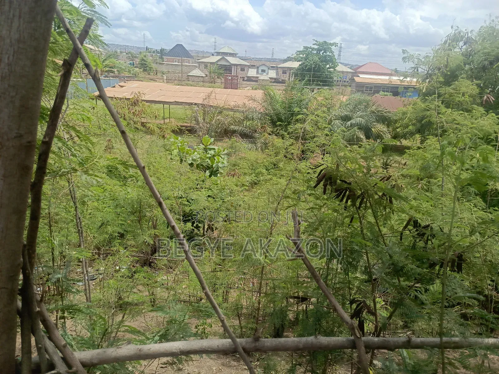 25 Acres Farm Land at Kintapo for Sale in Kintampo South