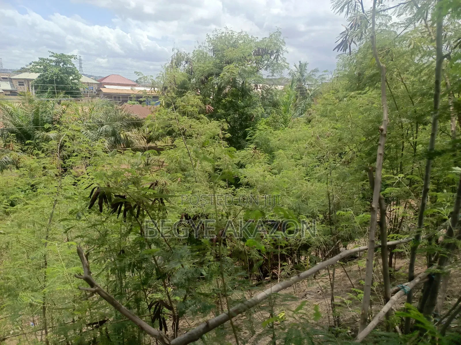 25 Acres Farm Land at Kintapo for Sale in Kintampo South