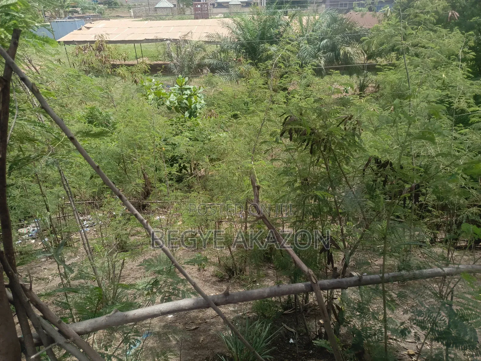 25 Acres Farm Land at Kintapo for Sale in Kintampo South