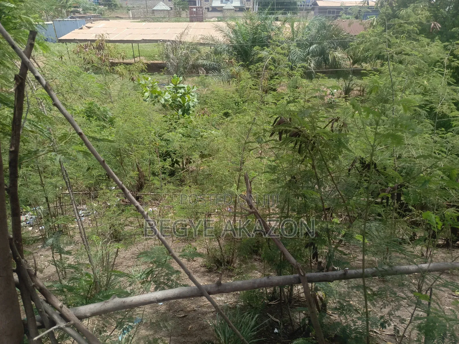 25 Acres Farm Land at Kintapo for Sale in Kintampo South