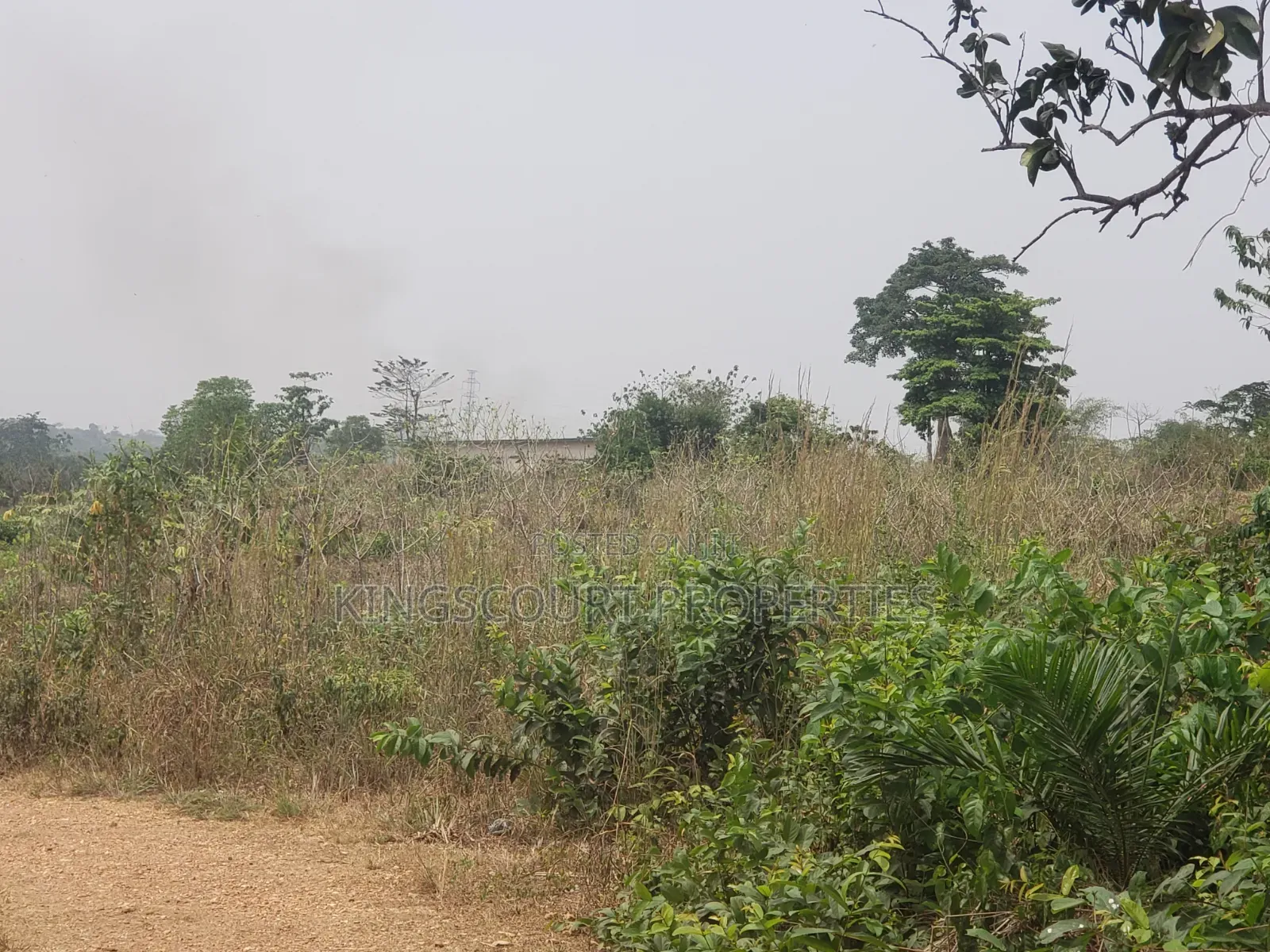 Trouble-Free Plots Selling at Trede Mpatasie in Kumasi Metropolitan