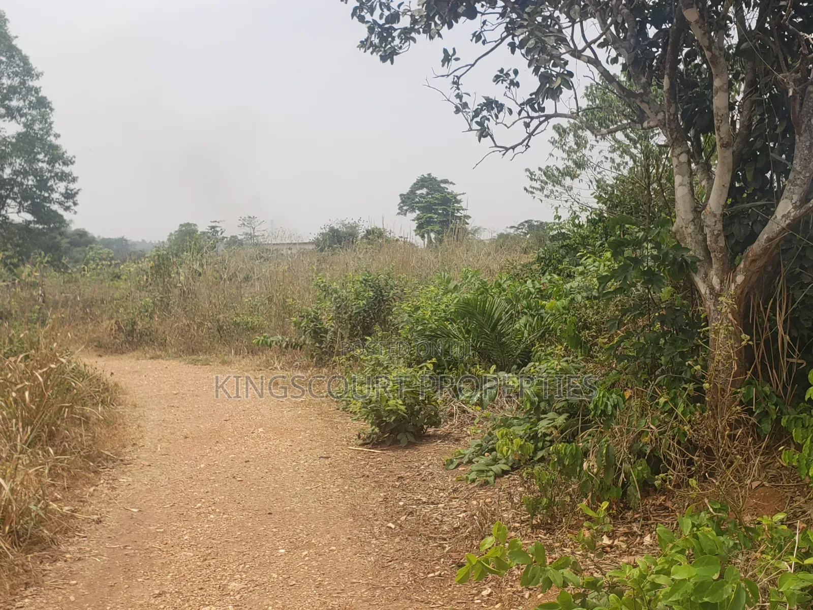 Trouble-Free Plots Selling at Trede Mpatasie in Kumasi Metropolitan