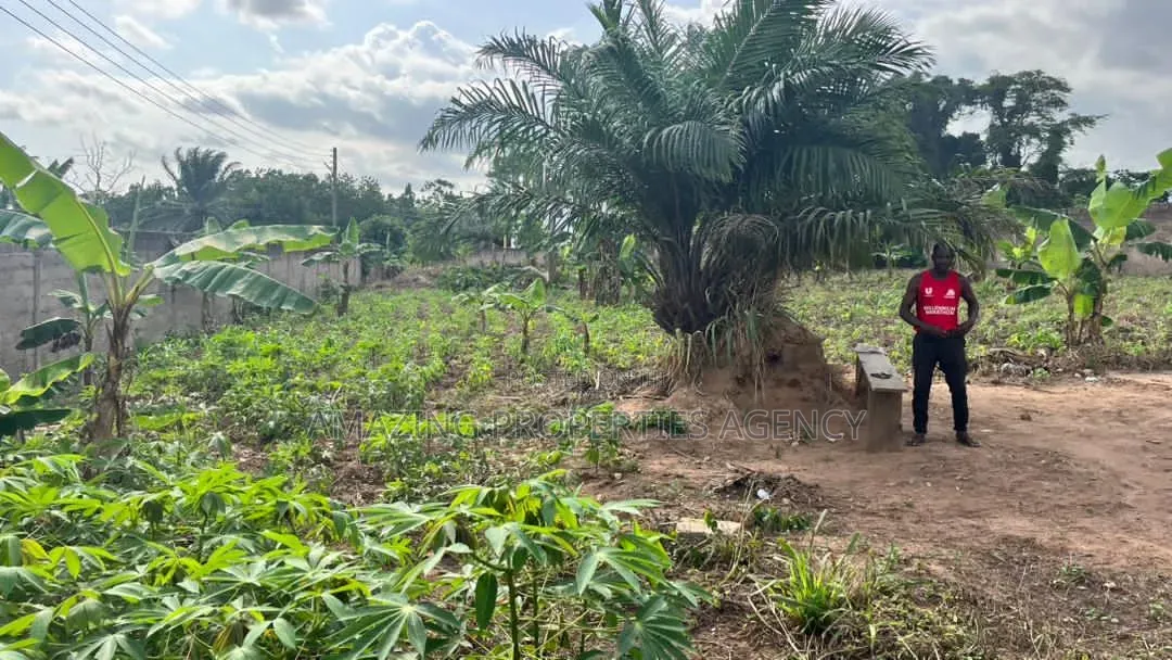 14 Plots Fully Documented Walled Gated Property at Aburi in Aburi