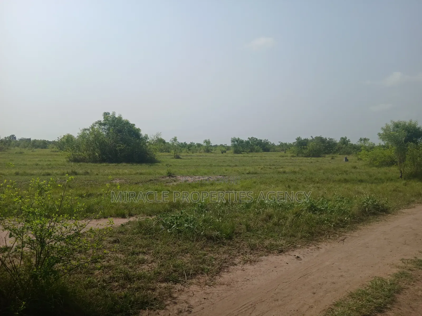 200 Acres of Land for Sale Right After Central University, Miotso in Community 25