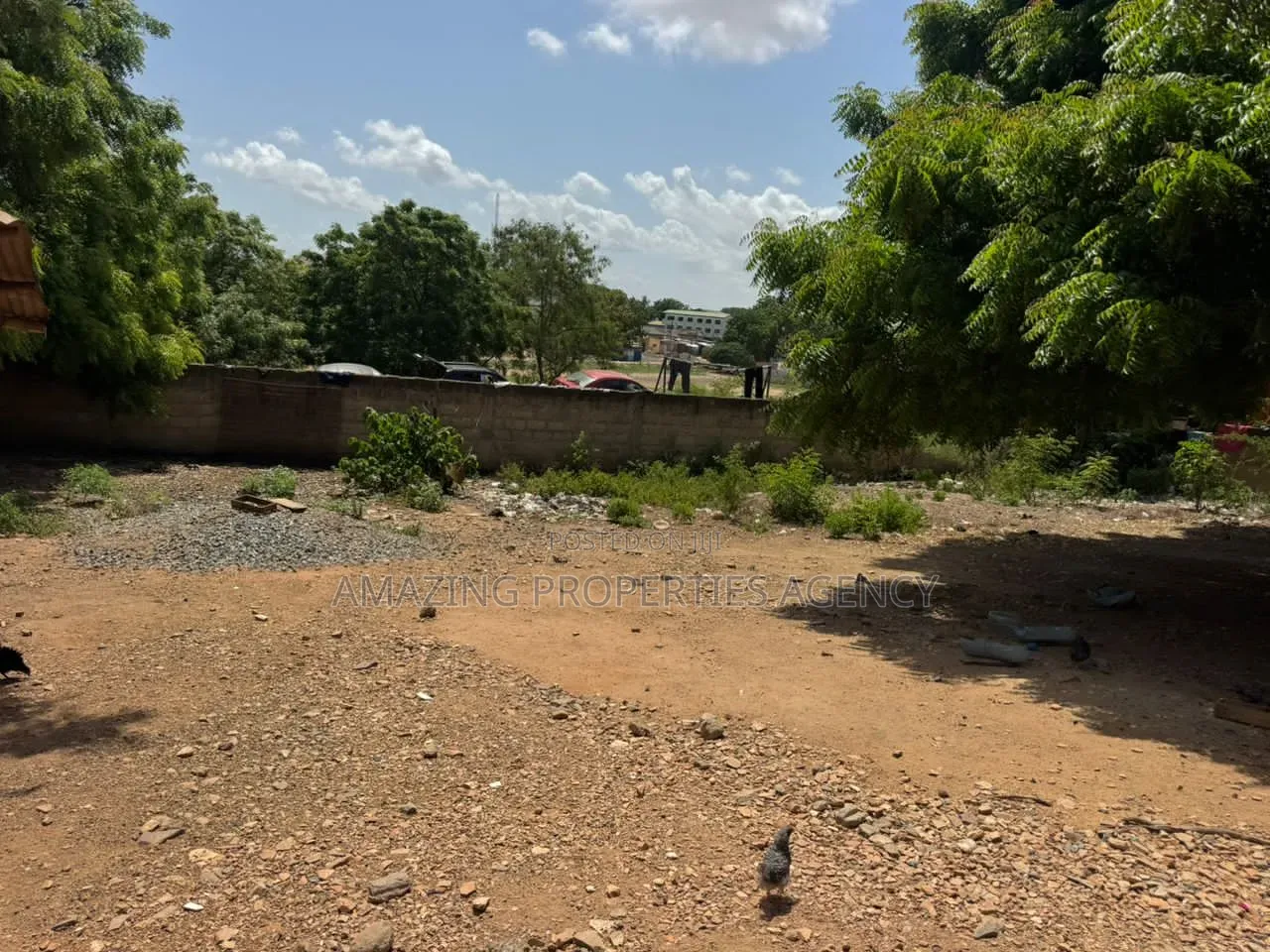 A 1.03 Acre Land for Sale at West Labone. It Is Walled and Gated in Labone Junction