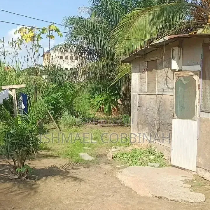 Tema West Adjei Kojo in Community 25