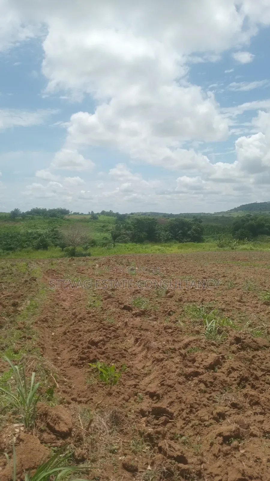 Alpha Investment Properties Estate Land for Sale at Kasoa Akraman in Gomoa East