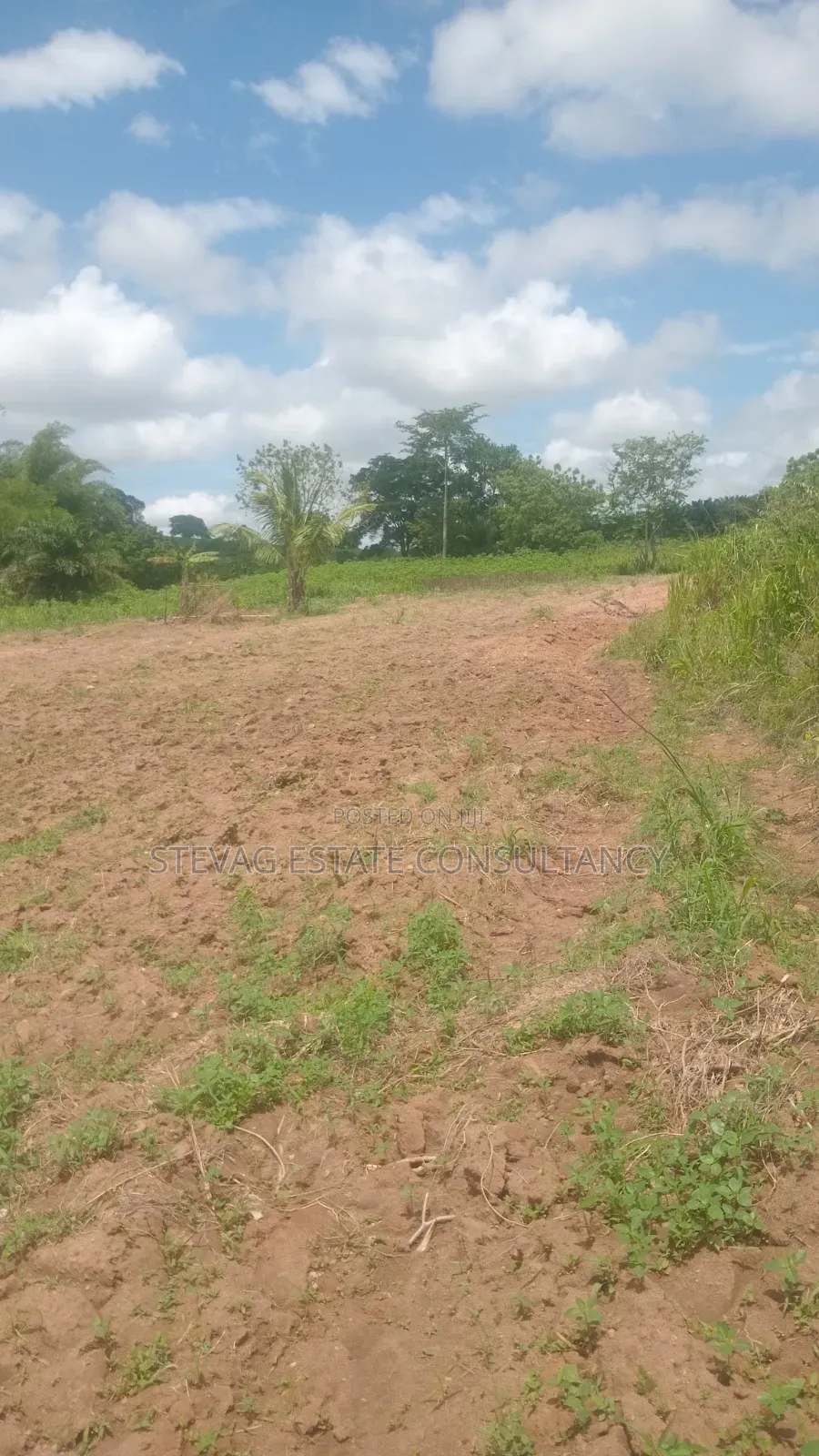 Alpha Investment Properties Estate Land for Sale at Kasoa Akraman in Gomoa East