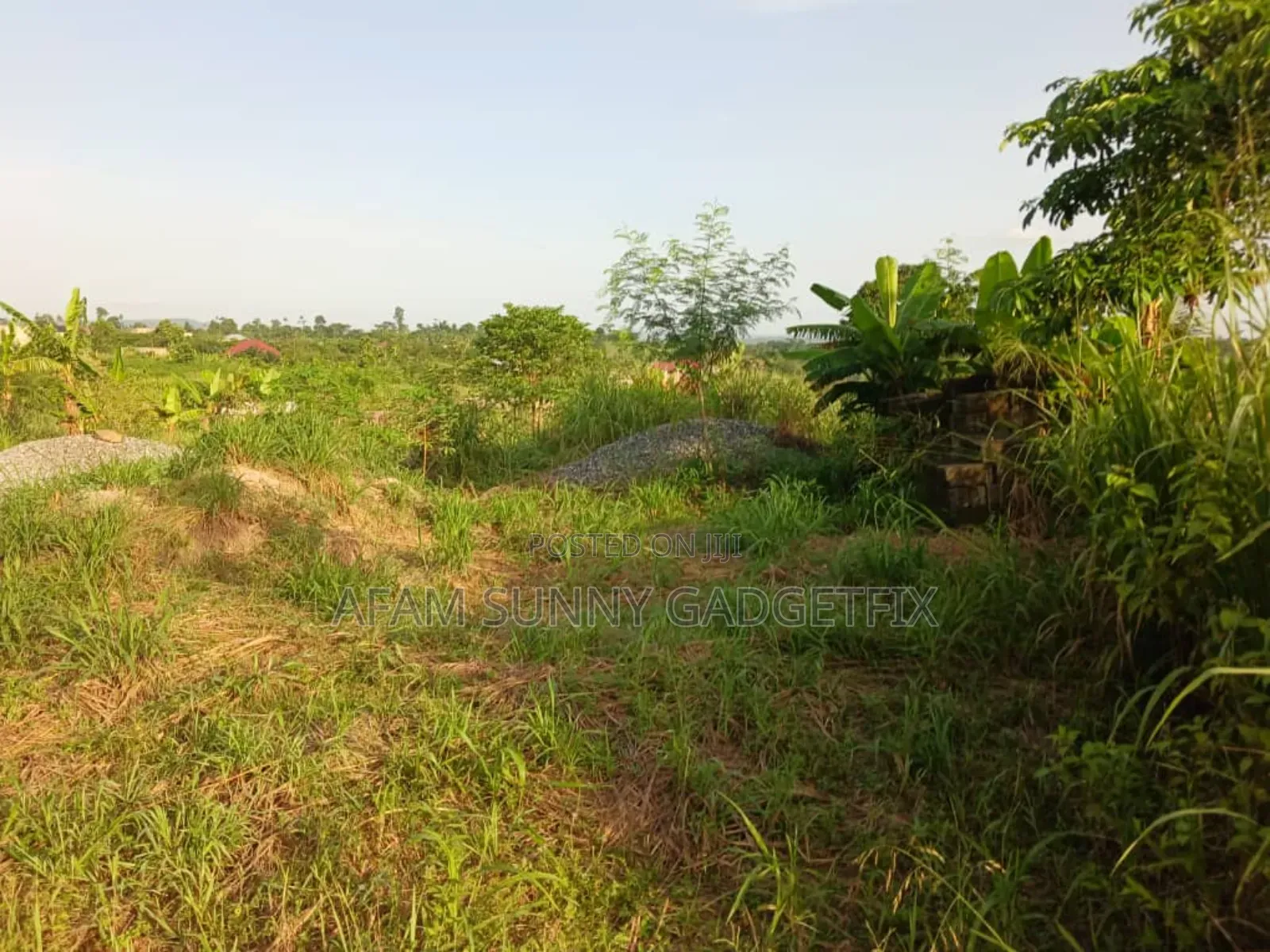 Land and Property in New-Juaben Municipal