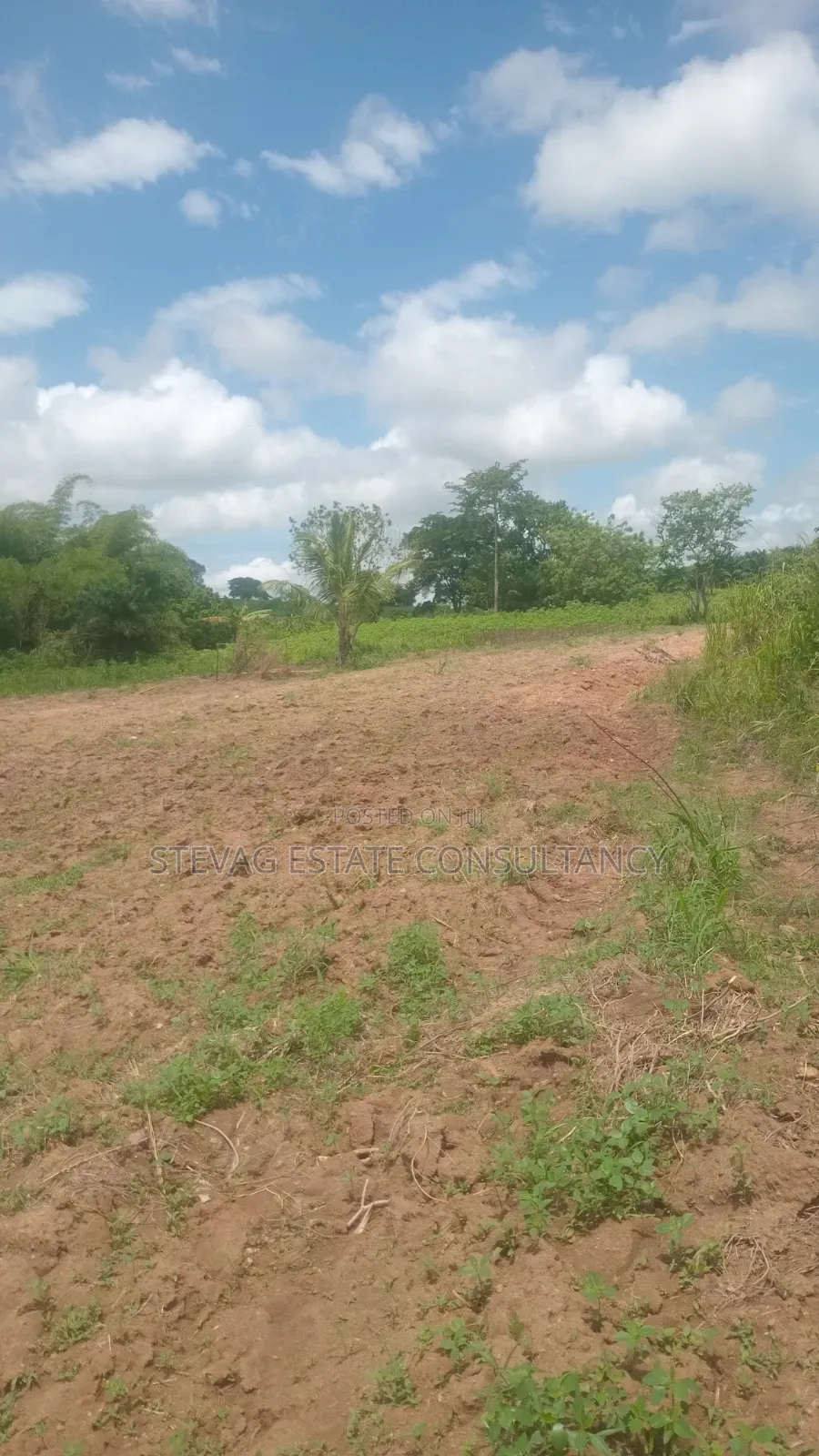 Alpha Land for Sale at Nsawam Ayibontey in Akuapim North