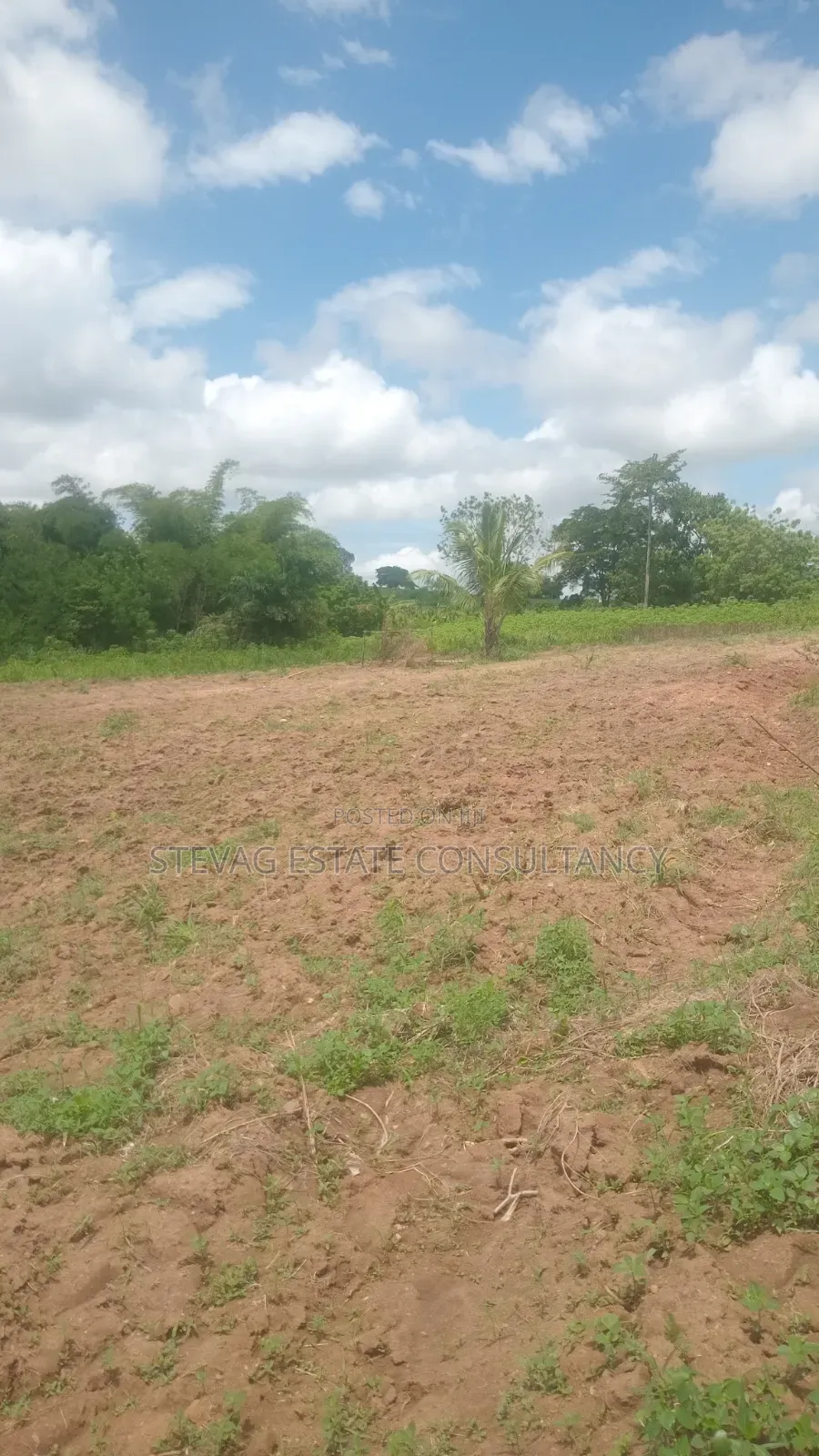 Alpha Land for Sale at Nsawam Ayibontey in Akuapim North