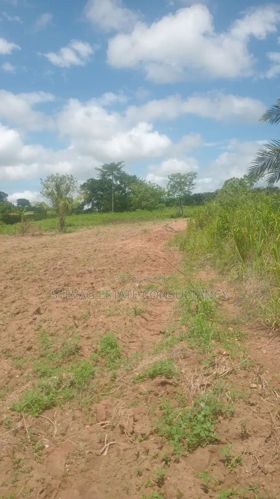 Alpha Land for Sale at Nsawam Ayibontey in Akuapim North