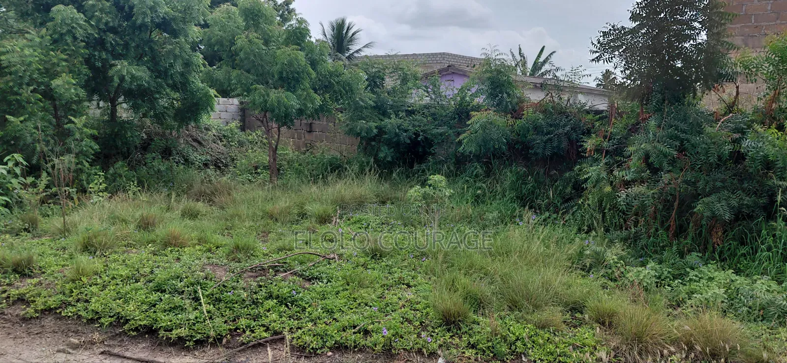 Land for Sale at Kasoa High Tension in Ga South Municipal