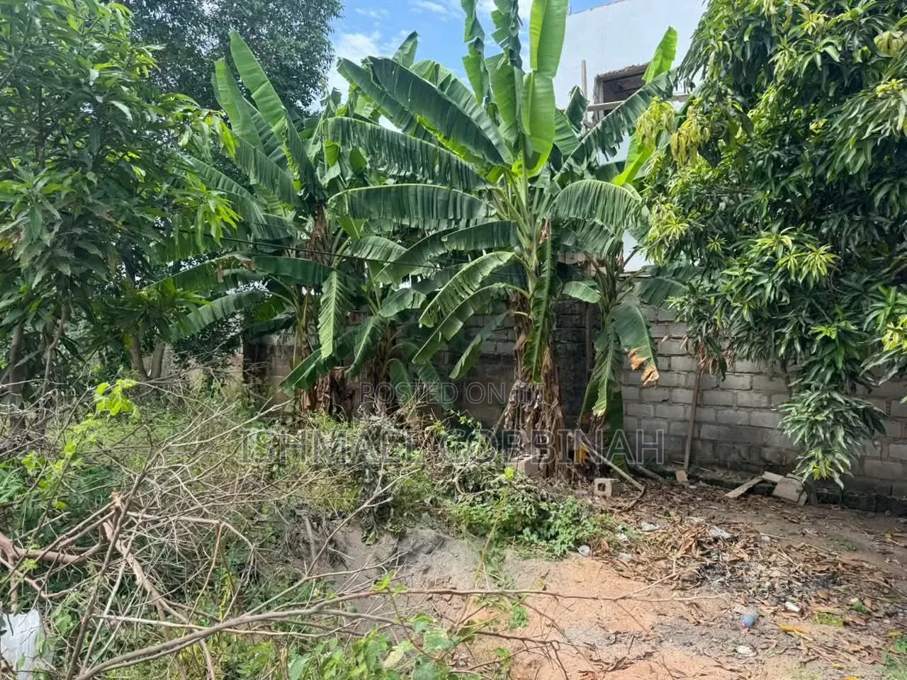 Genuine Land for Sale at Achimota in Mile 7