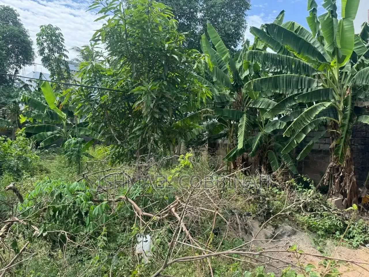 Genuine Land for Sale at Achimota in Mile 7